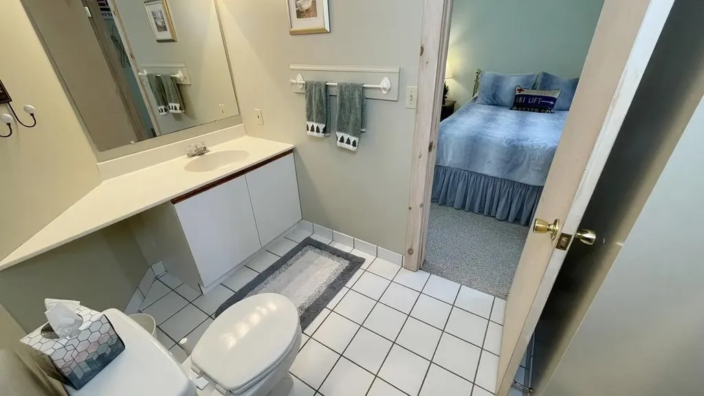 1 Pheasant Lane Dover VT 05356