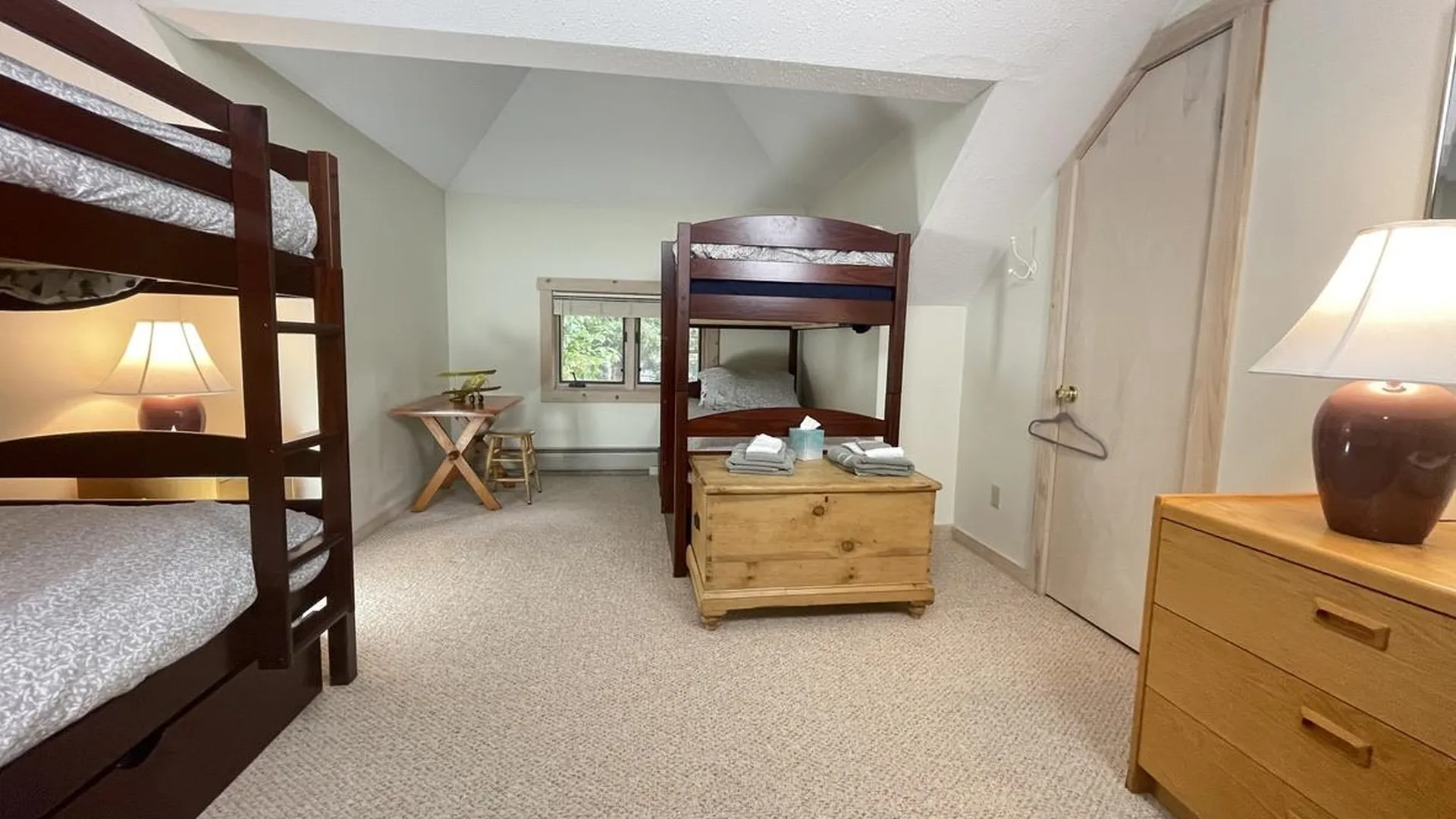 1 Pheasant Lane Dover VT 05356