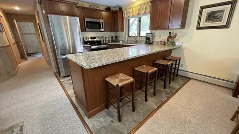 1 Pheasant Lane Dover VT 05356