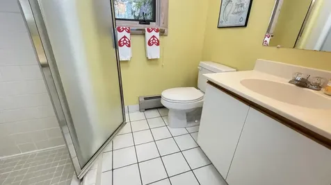 1 Pheasant Lane Dover VT 05356