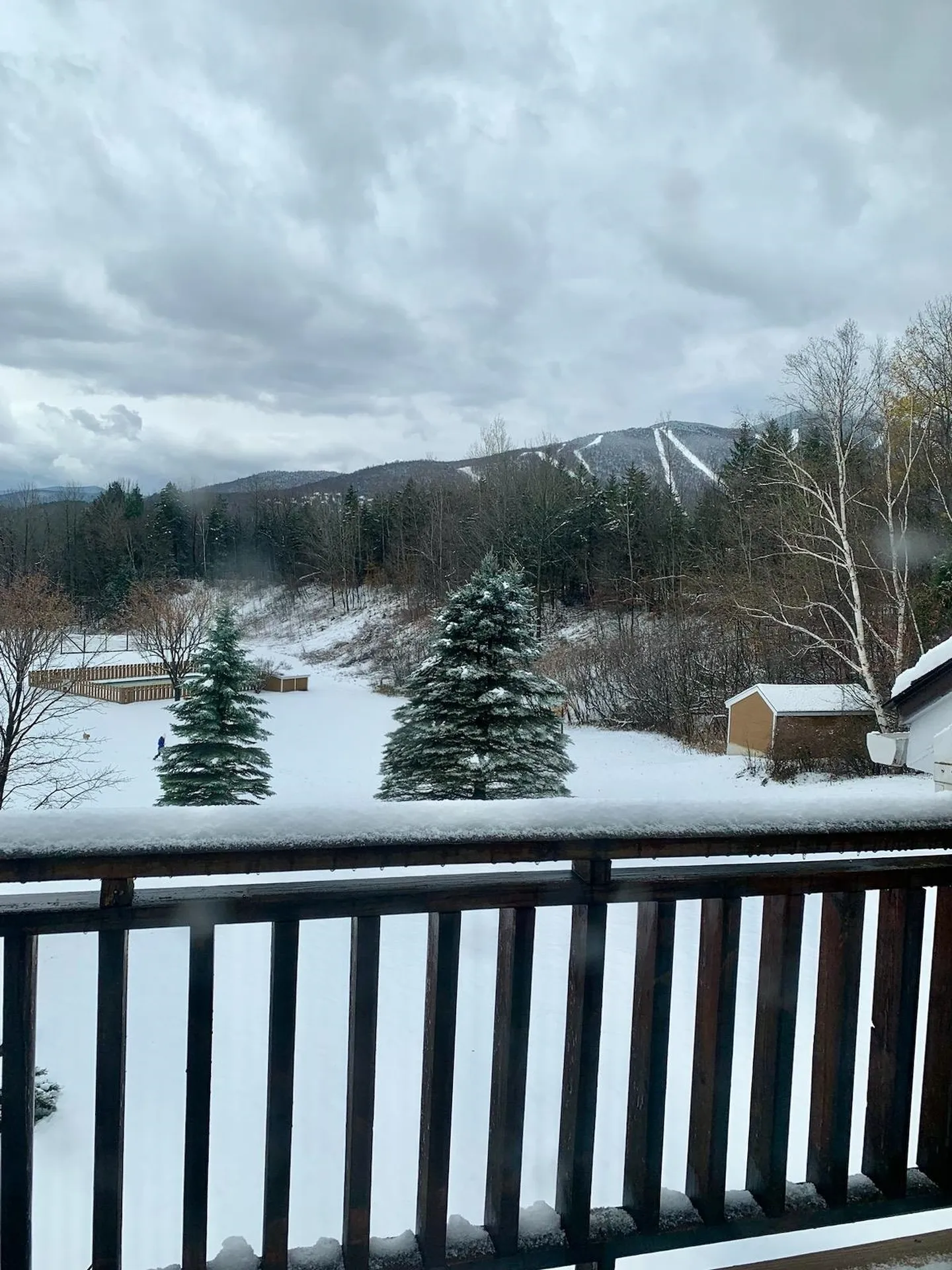 40 Sterling Ridge Road Warren VT 05674
