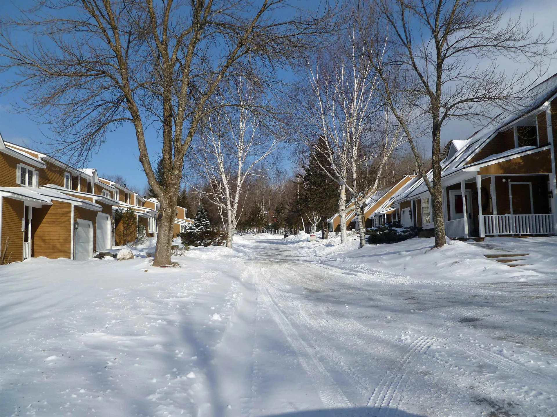 40 Sterling Ridge Road Warren VT 05674