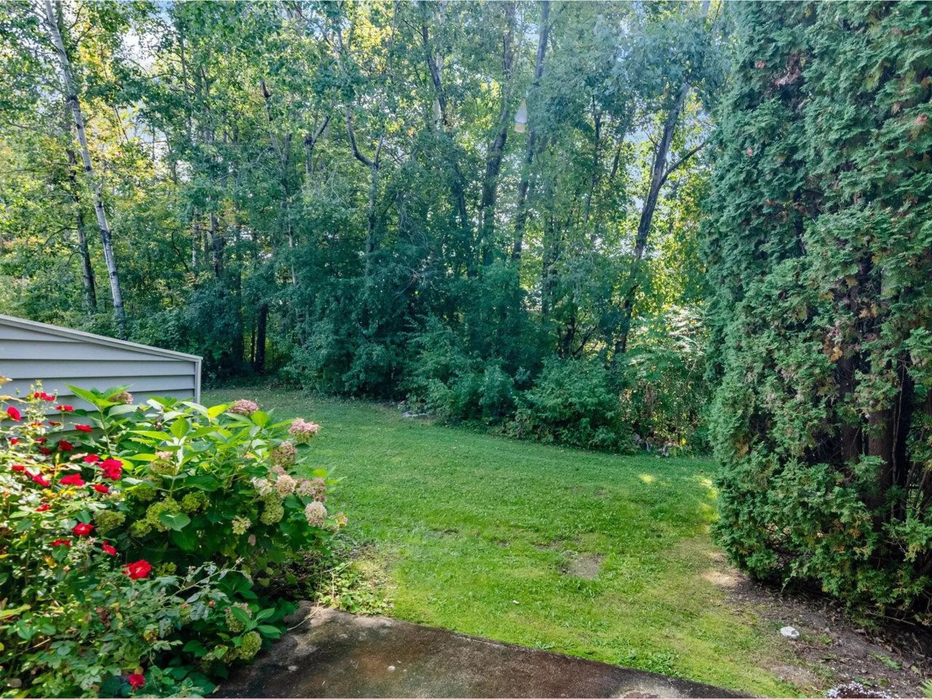 178 Locust Hill Shelburne VT 05482
