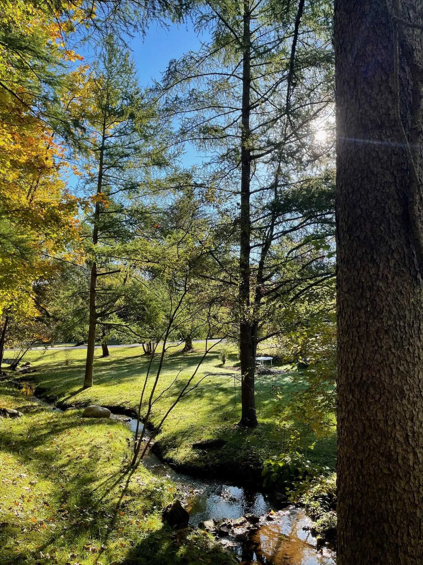 139 Franklin Avenue Manchester VT 05254