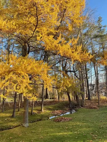 139 Franklin Avenue Manchester VT 05254