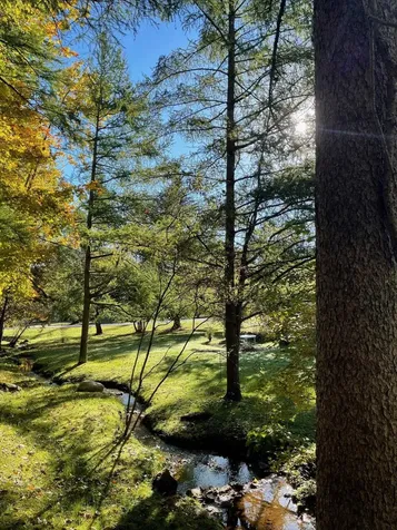 139 Franklin Avenue Manchester VT 05254