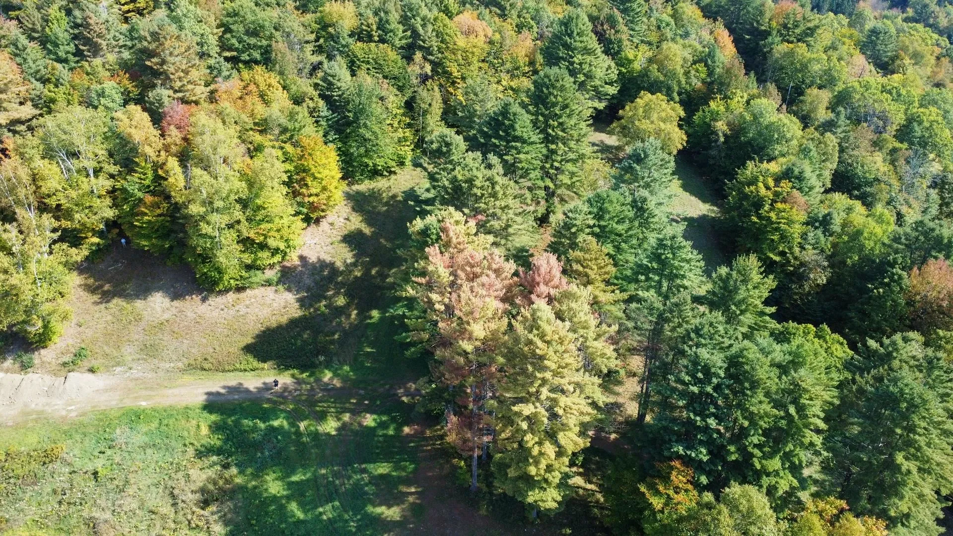 2575 Dairy Hill Road Royalton VT 05068