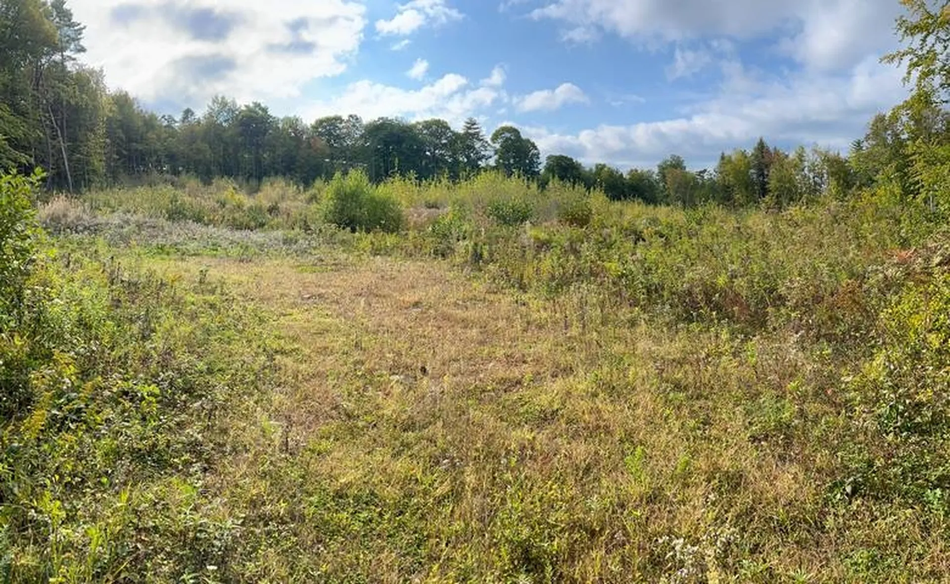 34-35-36 Commerce Court Meredith NH 03253