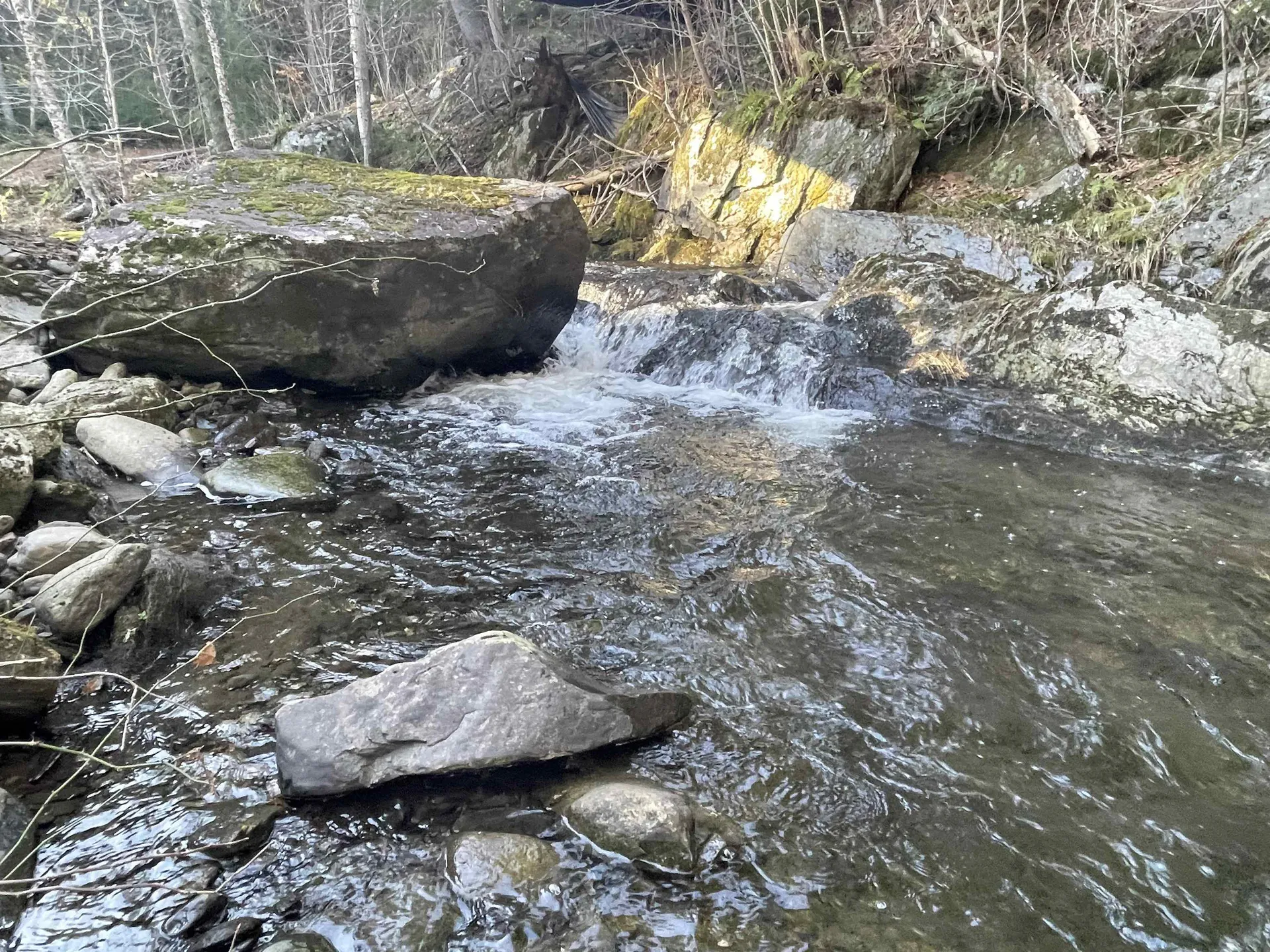 3620 East Warren Road Waitsfield VT 05673
