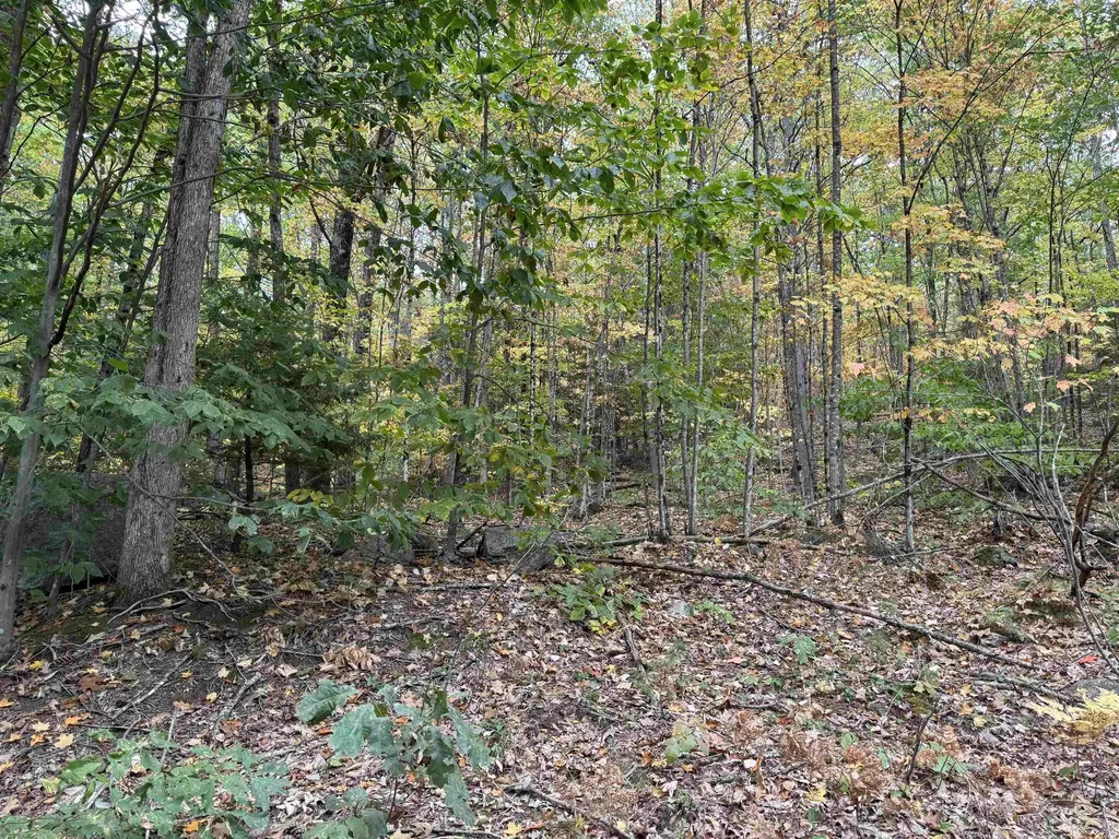 Lot 156 New Hampshire Drive Webster NH 03303