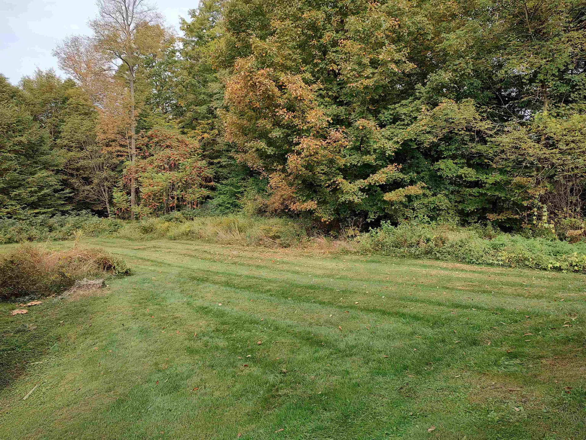 170 Windy Lane Randolph VT 05060