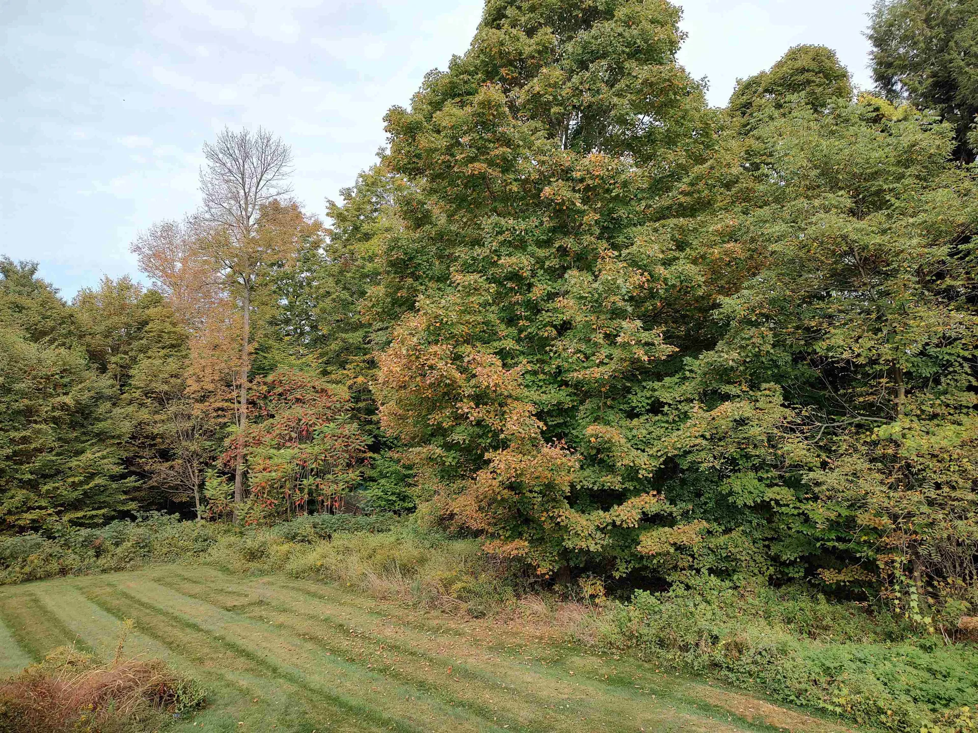 170 Windy Lane Randolph VT 05060