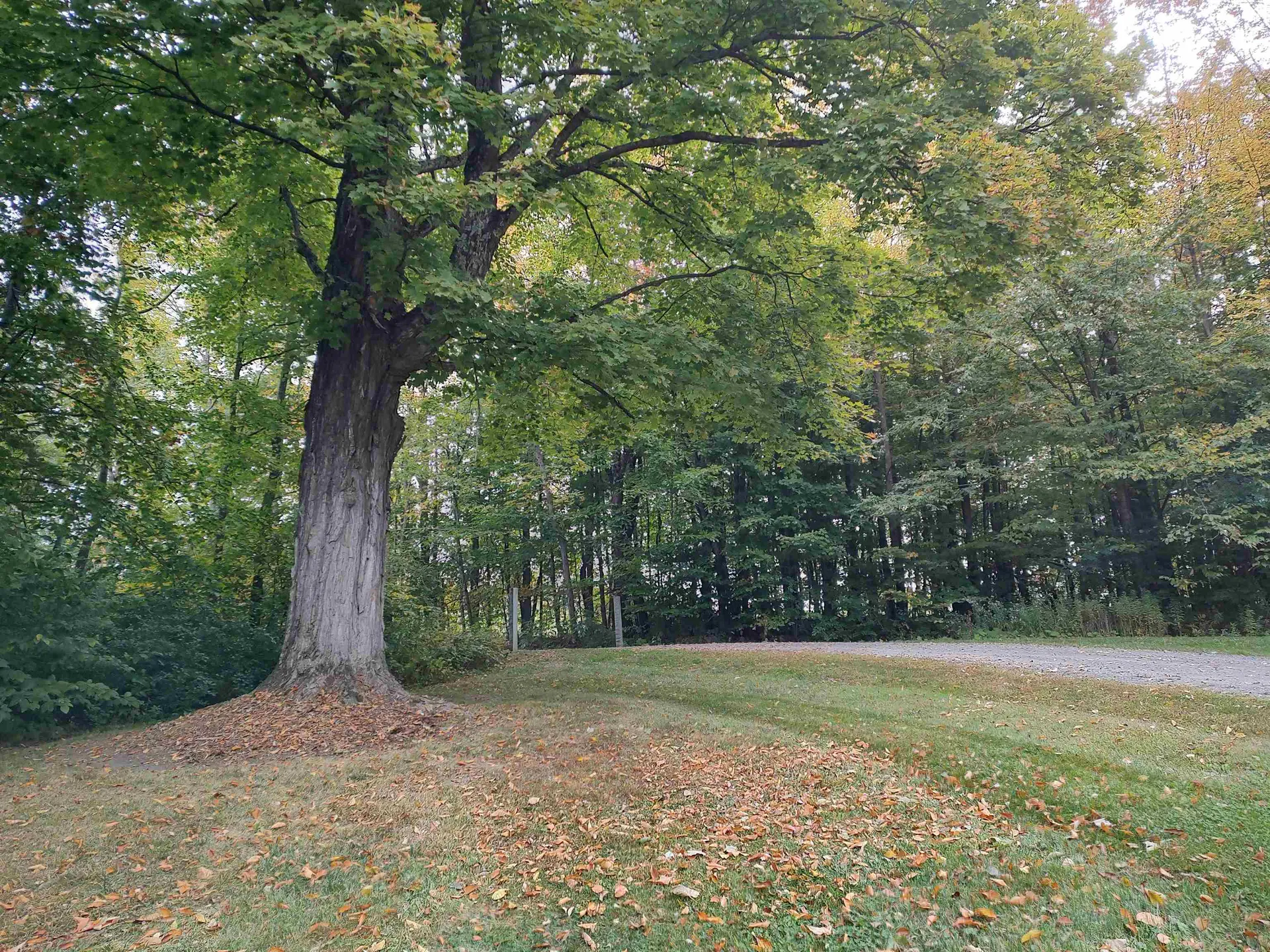 170 Windy Lane Randolph VT 05060