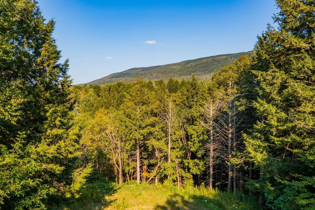 0 Alden Lane Sunderland VT 05250
