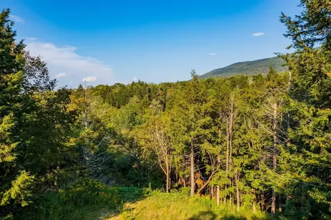 0 Alden Lane Sunderland VT 05250