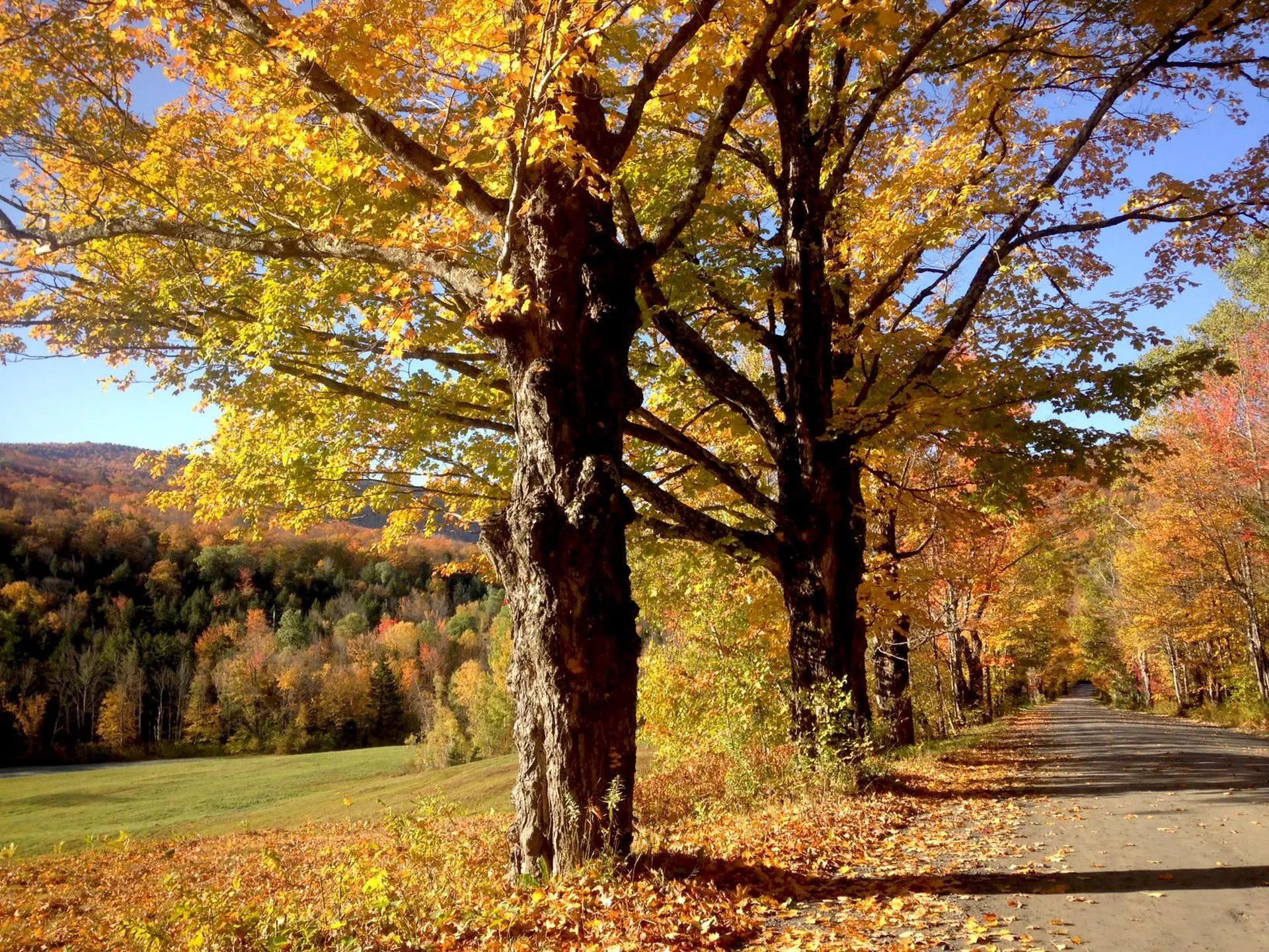 705/707 Qtr. I V Adams House Ludlow VT 05149