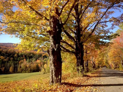 705/707 Qtr. I V Adams House Ludlow VT 05149