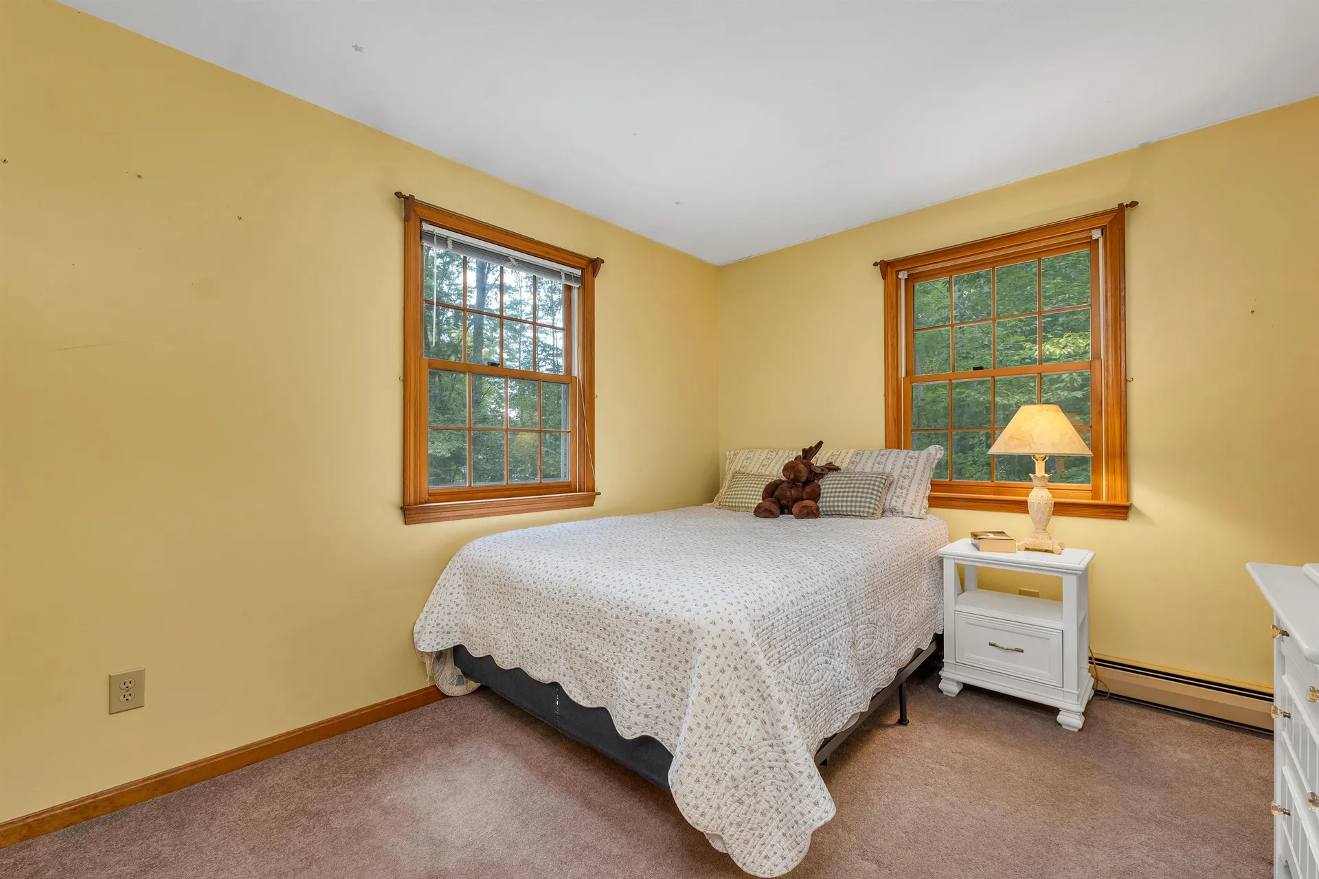 7 Loon Street Wolfeboro NH 03894