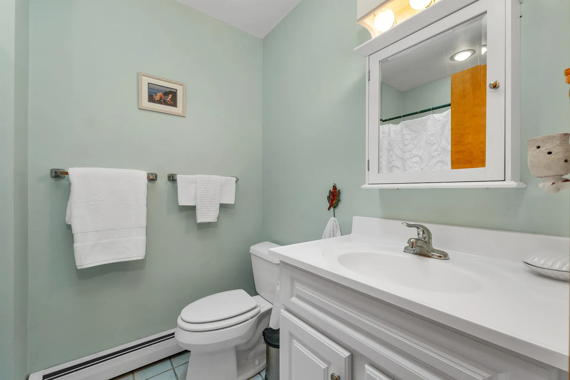 7 Loon Street Wolfeboro NH 03894