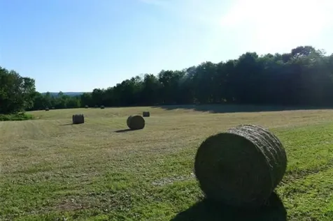 1290 Parker Mountain Road Strafford NH 03884