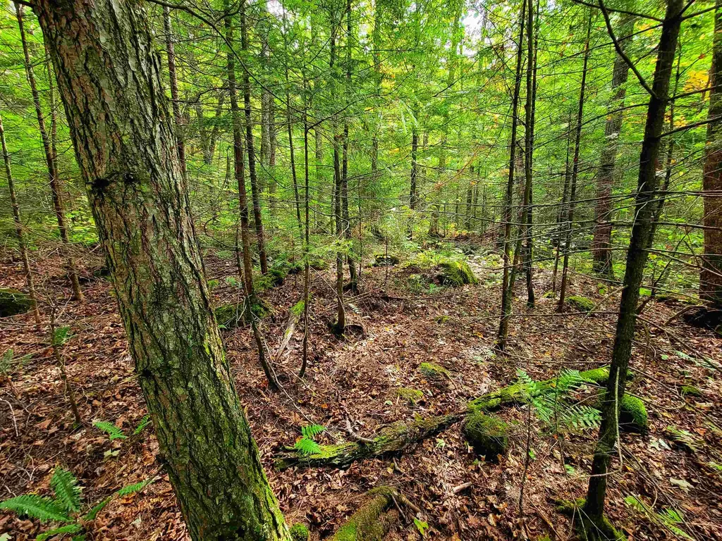 2555 Fuller Road Newbury VT 05051