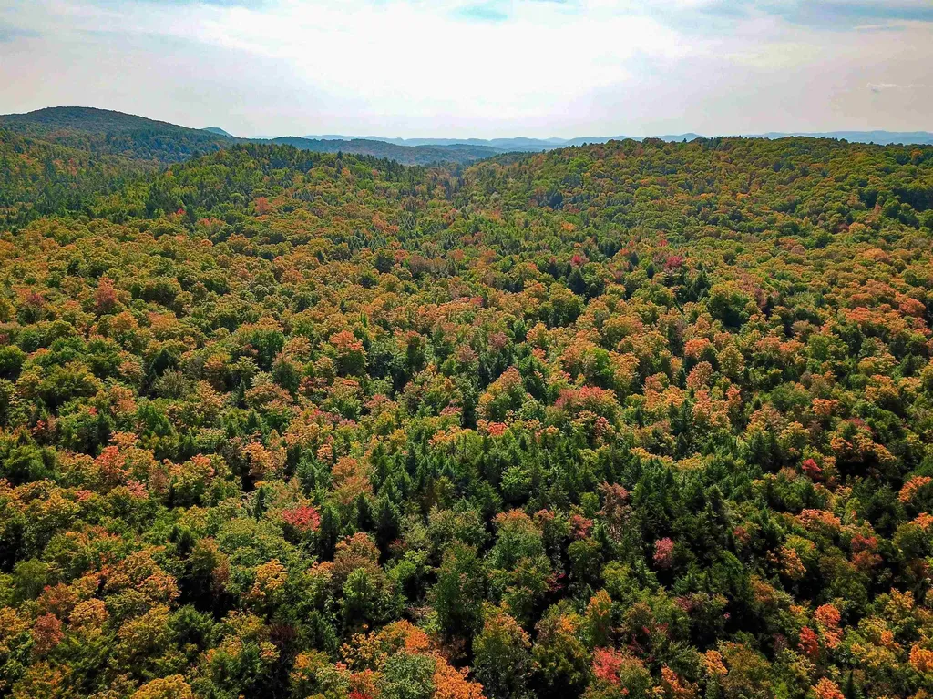 2555 Fuller Road Newbury VT 05051