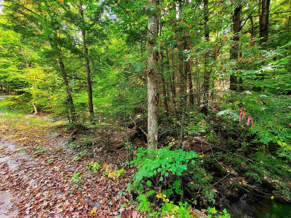 2555 Fuller Road Newbury VT 05051