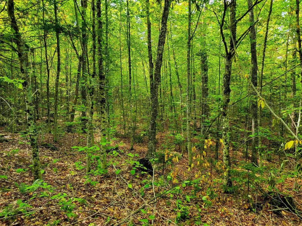 2555 Fuller Road Newbury VT 05051