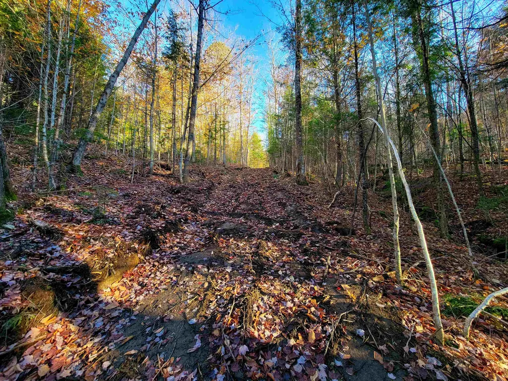 2555 Fuller Road Newbury VT 05051