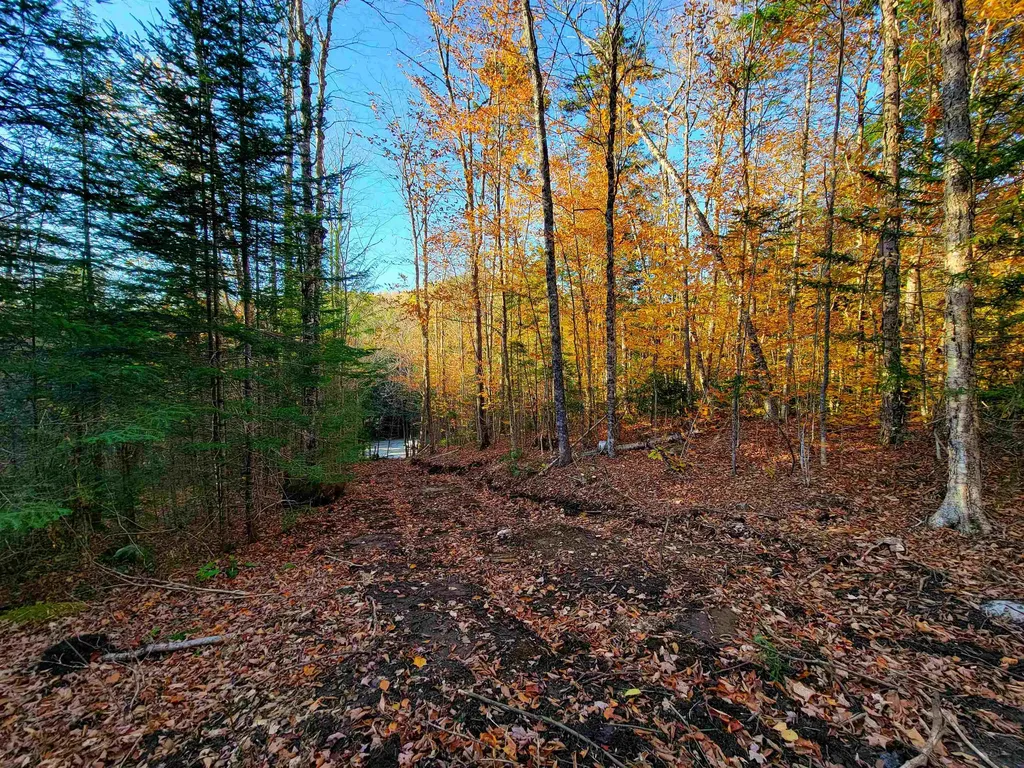 2555 Fuller Road Newbury VT 05051