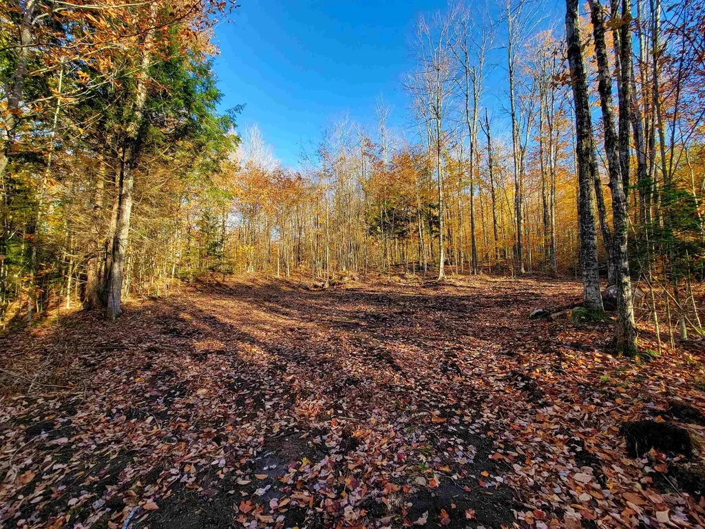 2555 Fuller Road Newbury VT 05051