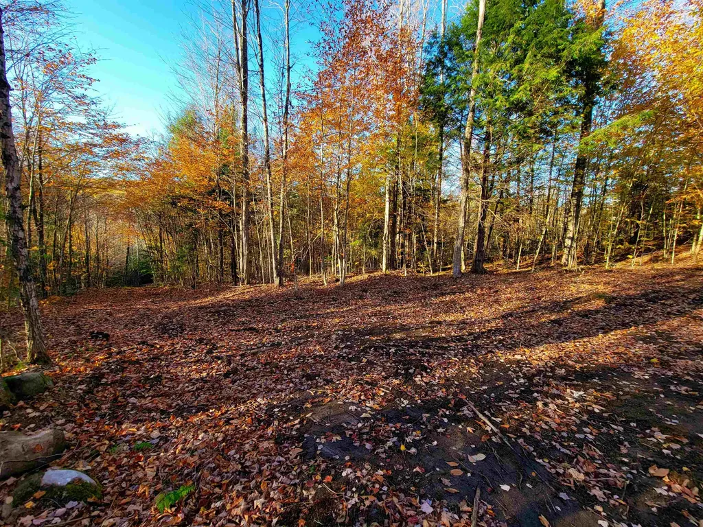 2555 Fuller Road Newbury VT 05051