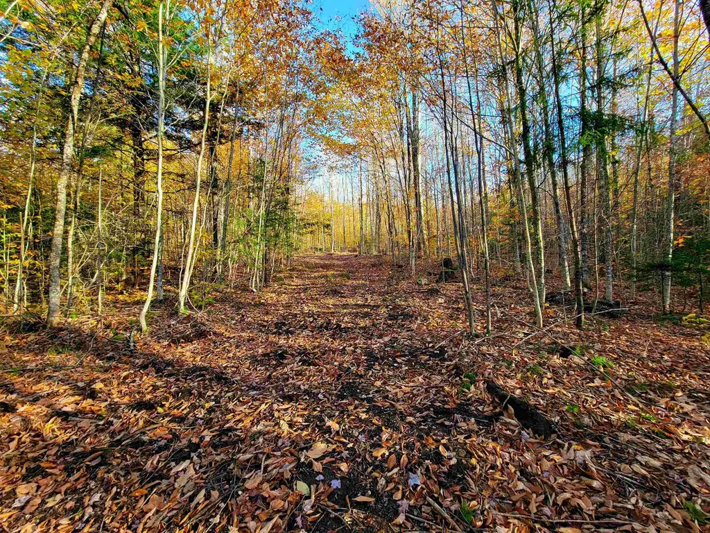 2555 Fuller Road Newbury VT 05051