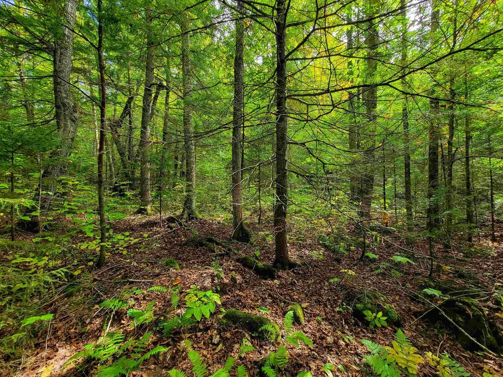 2555 Fuller Road Newbury VT 05051