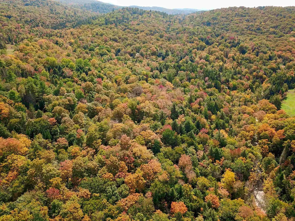 2555 Fuller Road Newbury VT 05051