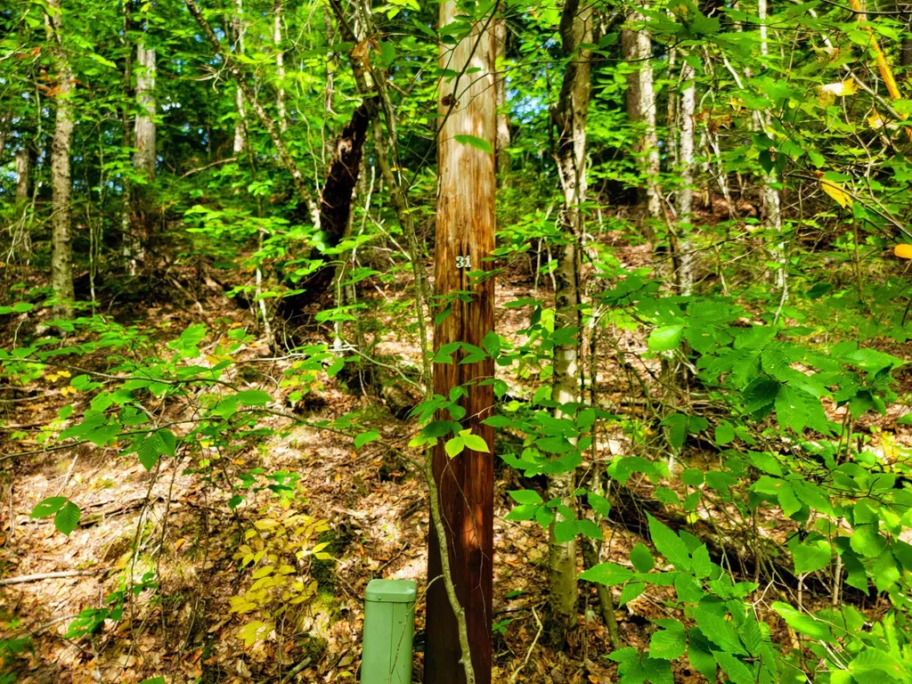 2555 Fuller Road Newbury VT 05051