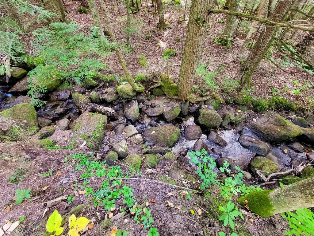 2555 Fuller Road Newbury VT 05051