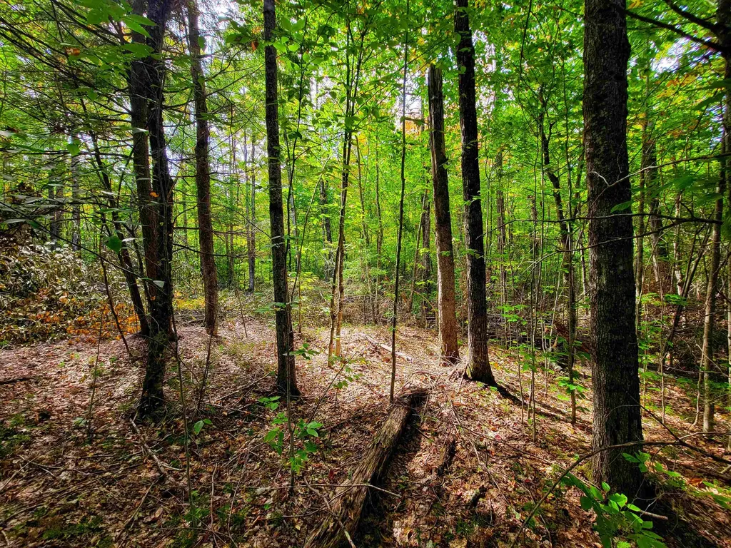 2555 Fuller Road Newbury VT 05051