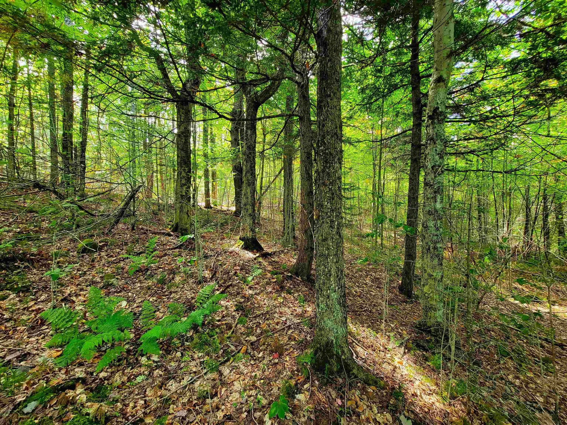 2555 Fuller Road Newbury VT 05051