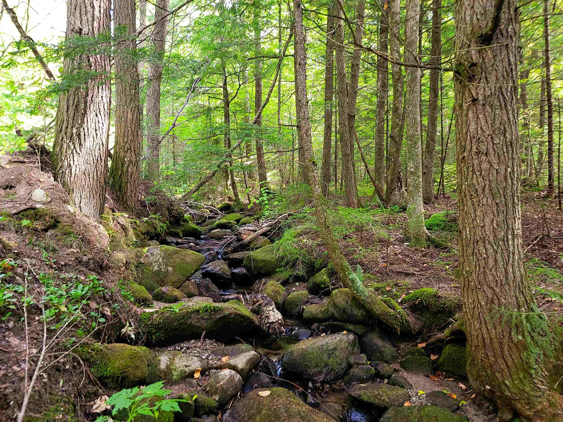 2555 Fuller Road Newbury VT 05051