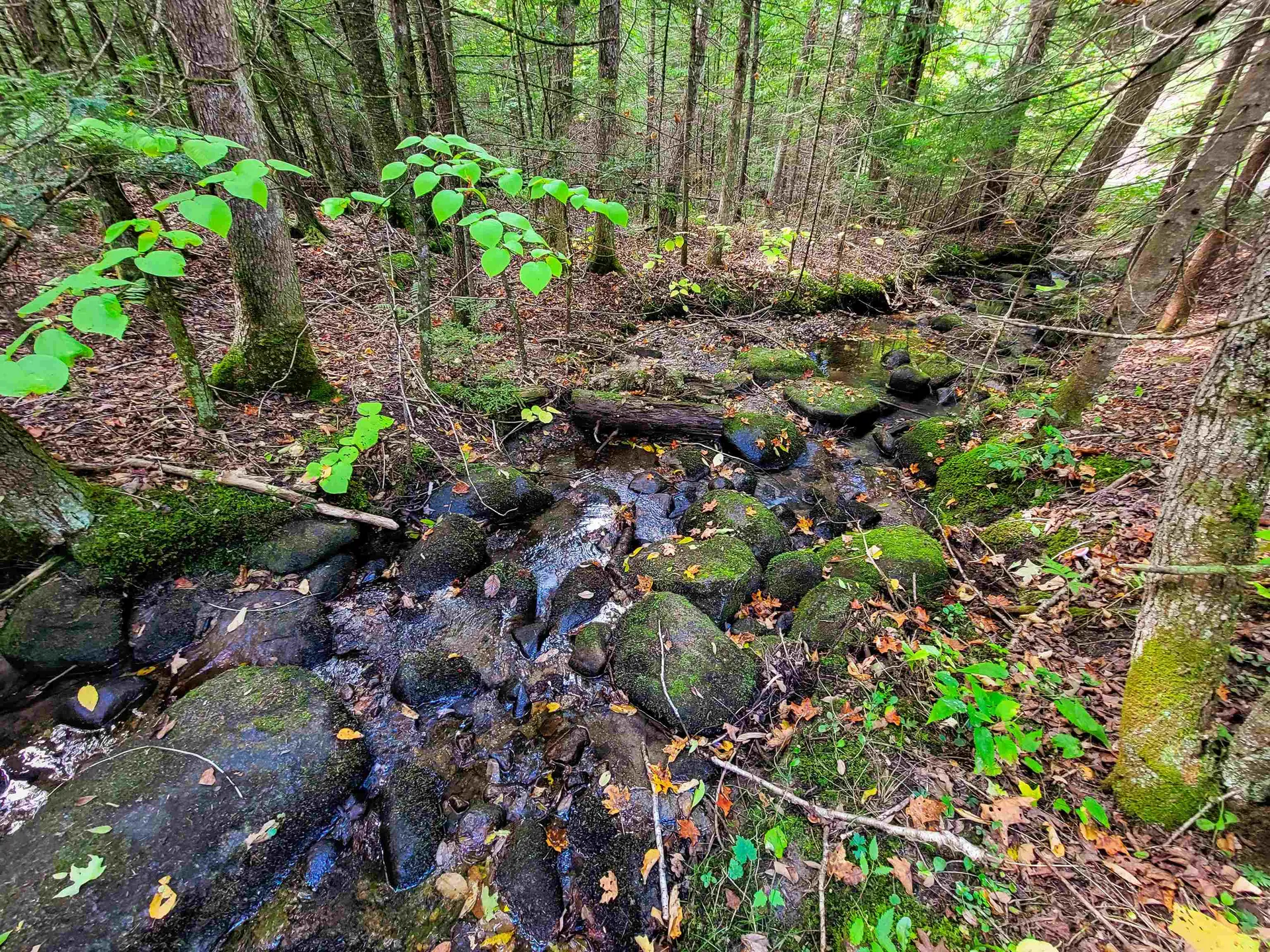 2555 Fuller Road Newbury VT 05051