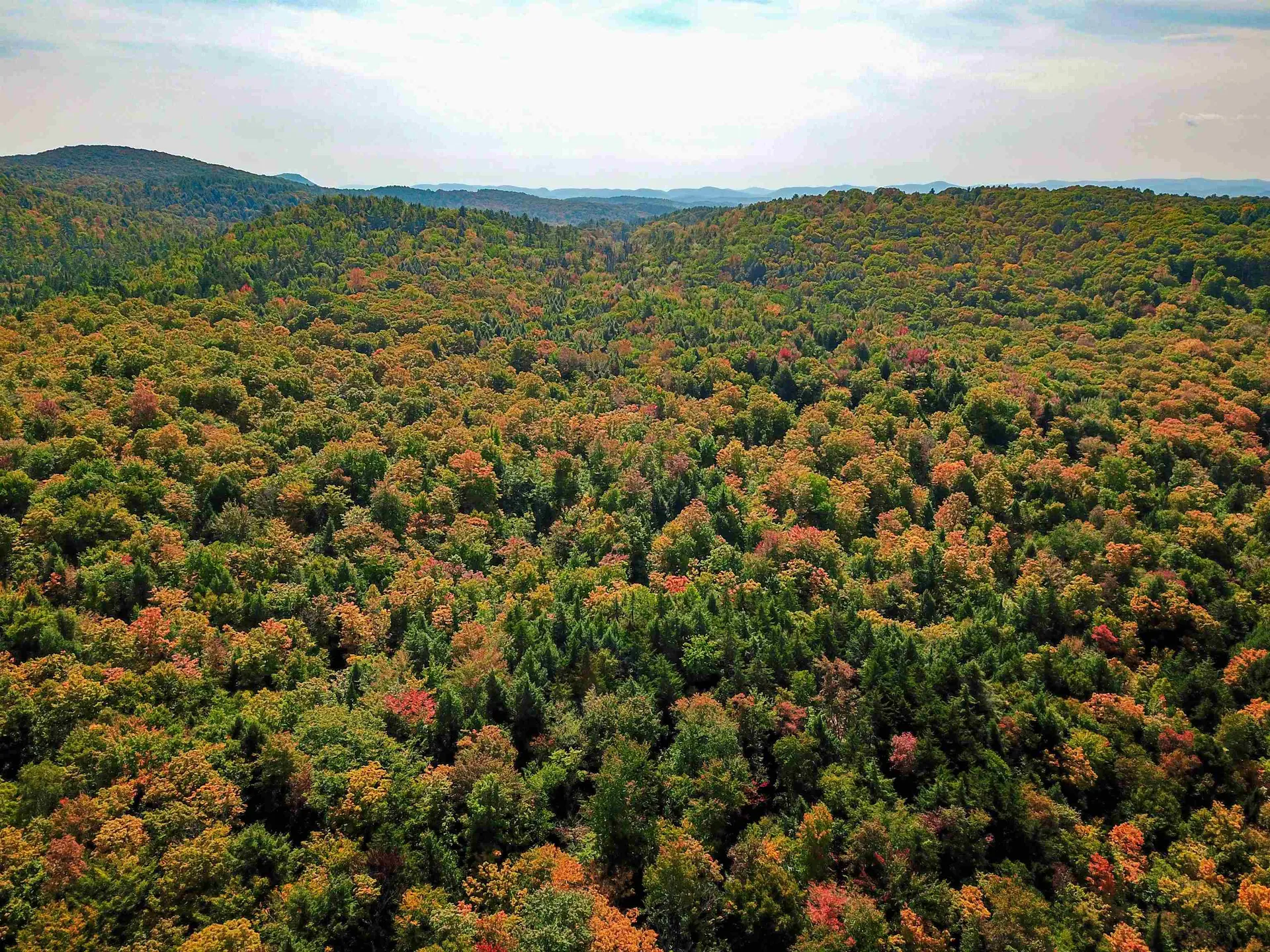 2555 Fuller Road Newbury VT 05051