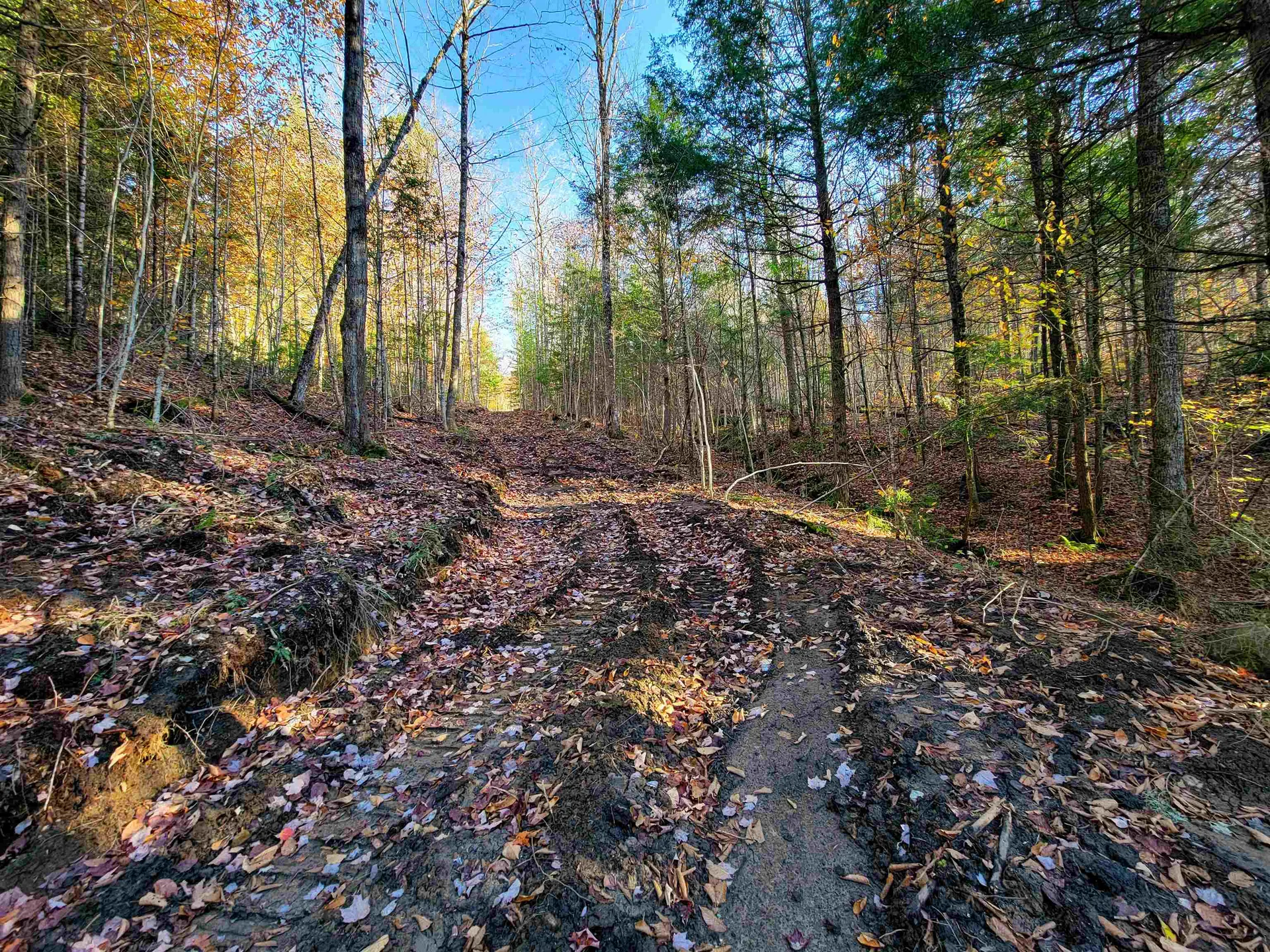 2555 Fuller Road Newbury VT 05051