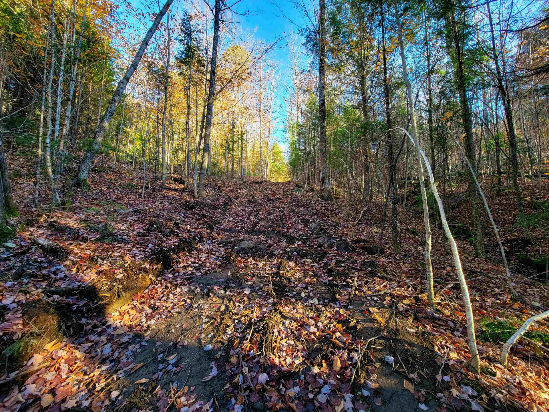 2555 Fuller Road Newbury VT 05051