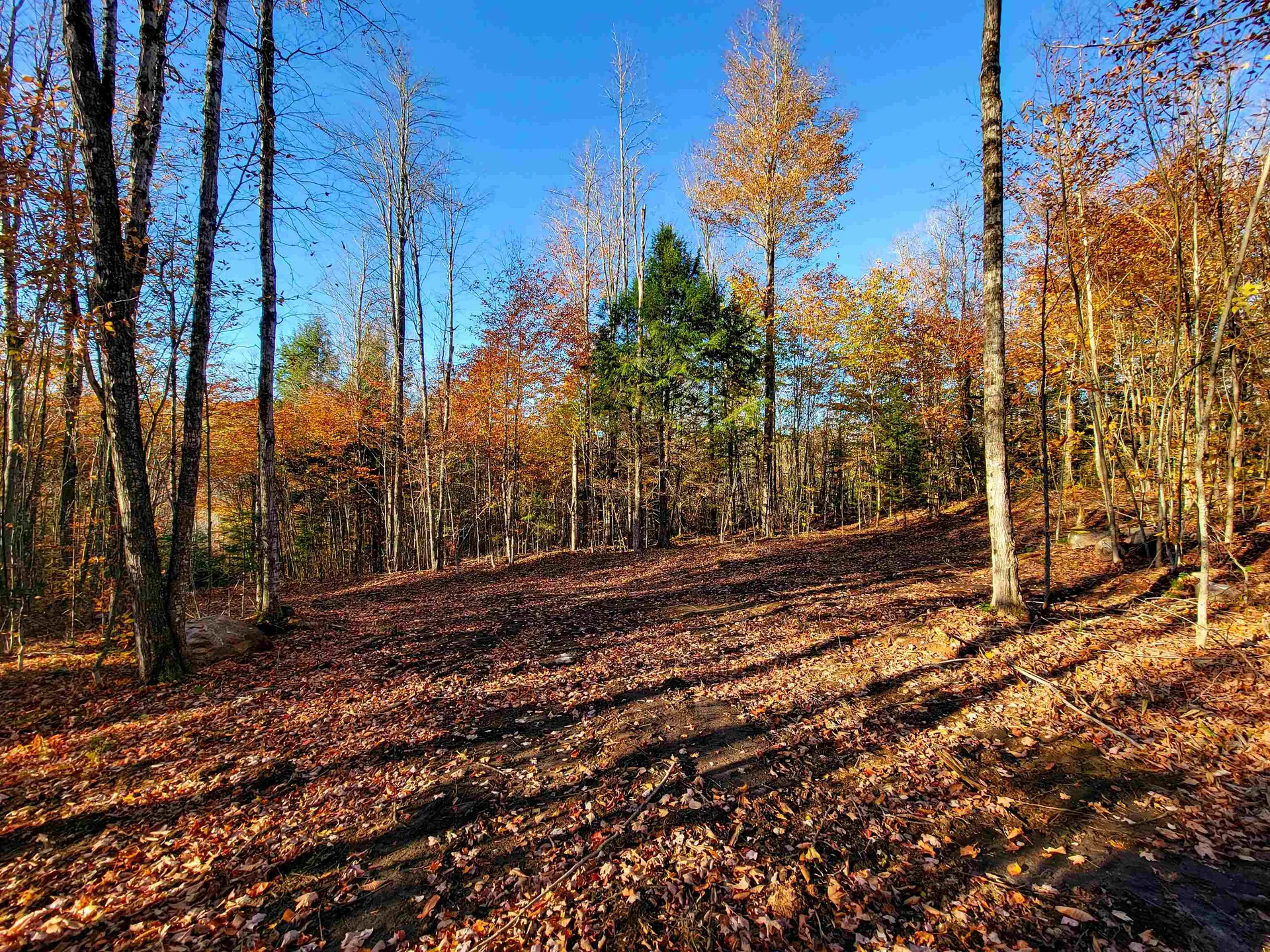 2555 Fuller Road Newbury VT 05051