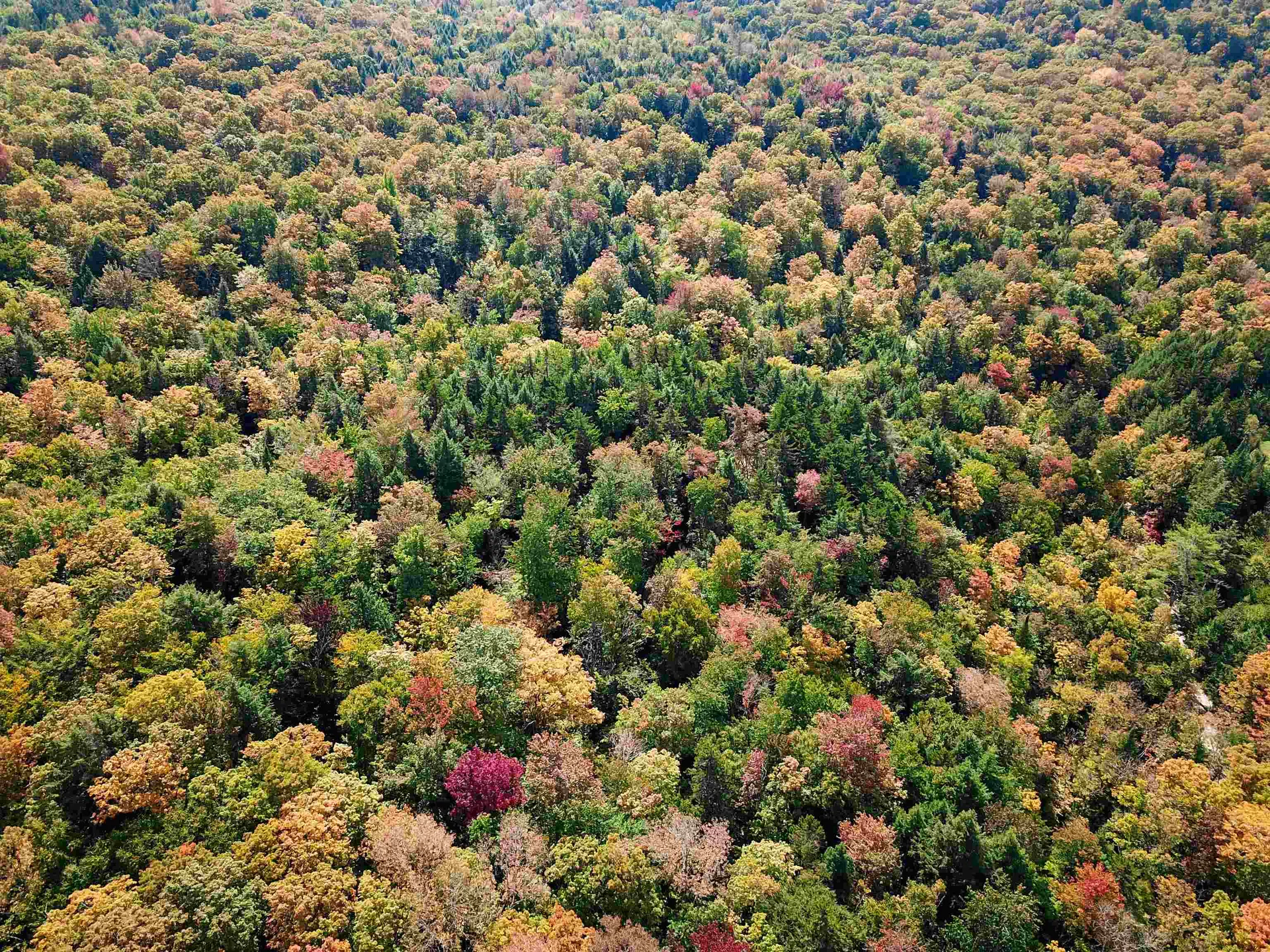 2555 Fuller Road Newbury VT 05051