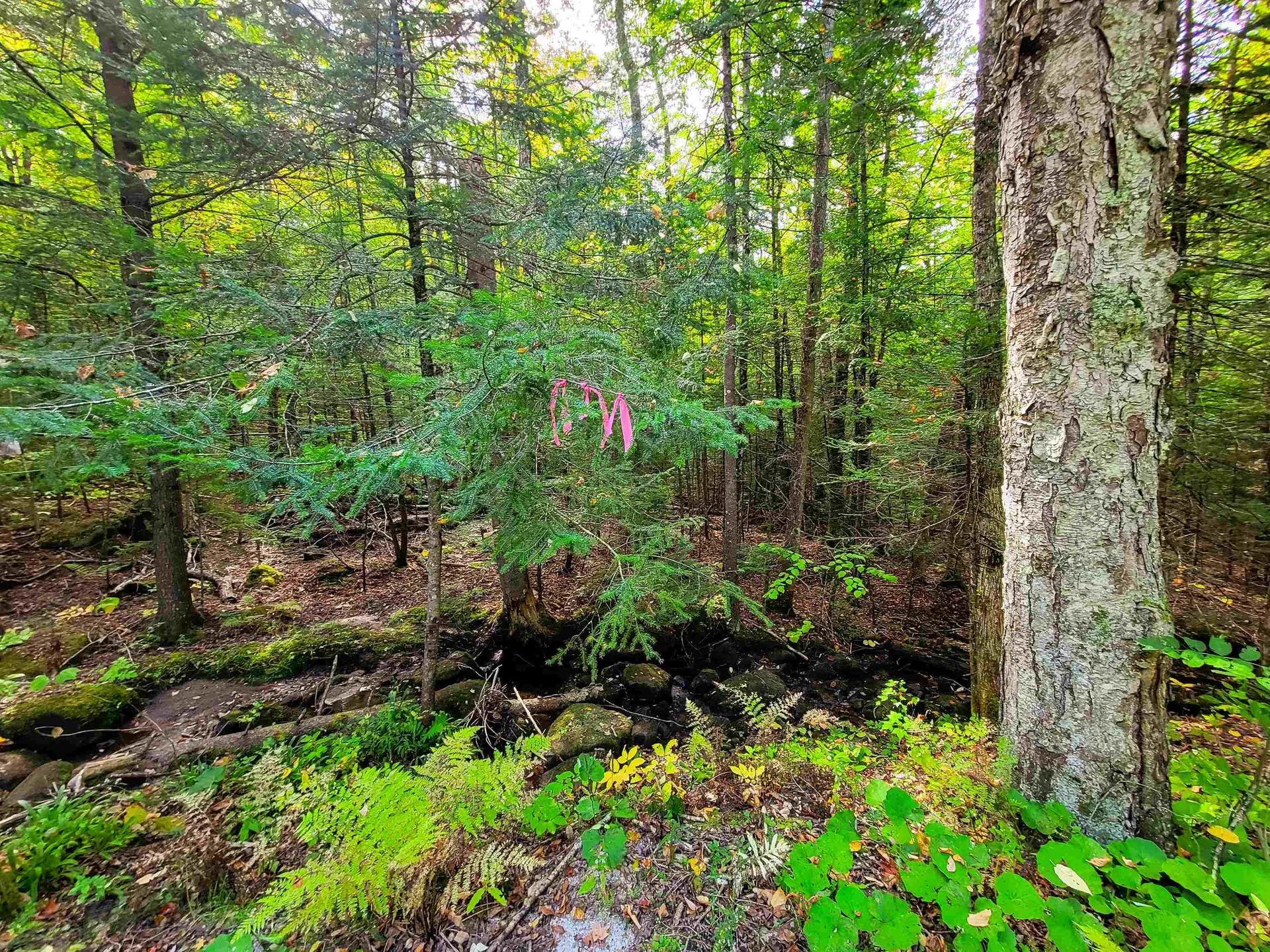 2555 Fuller Road Newbury VT 05051