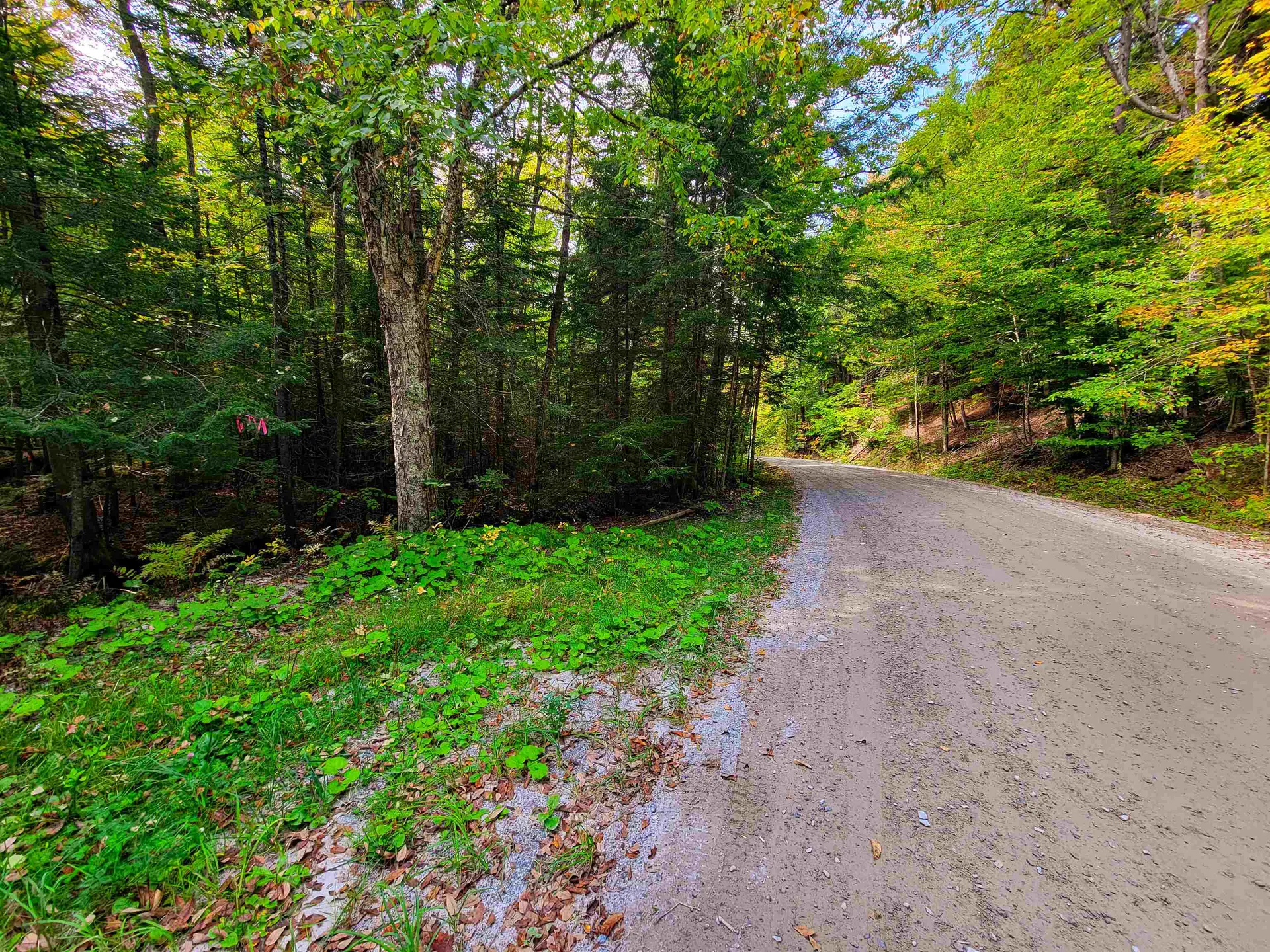 2555 Fuller Road Newbury VT 05051