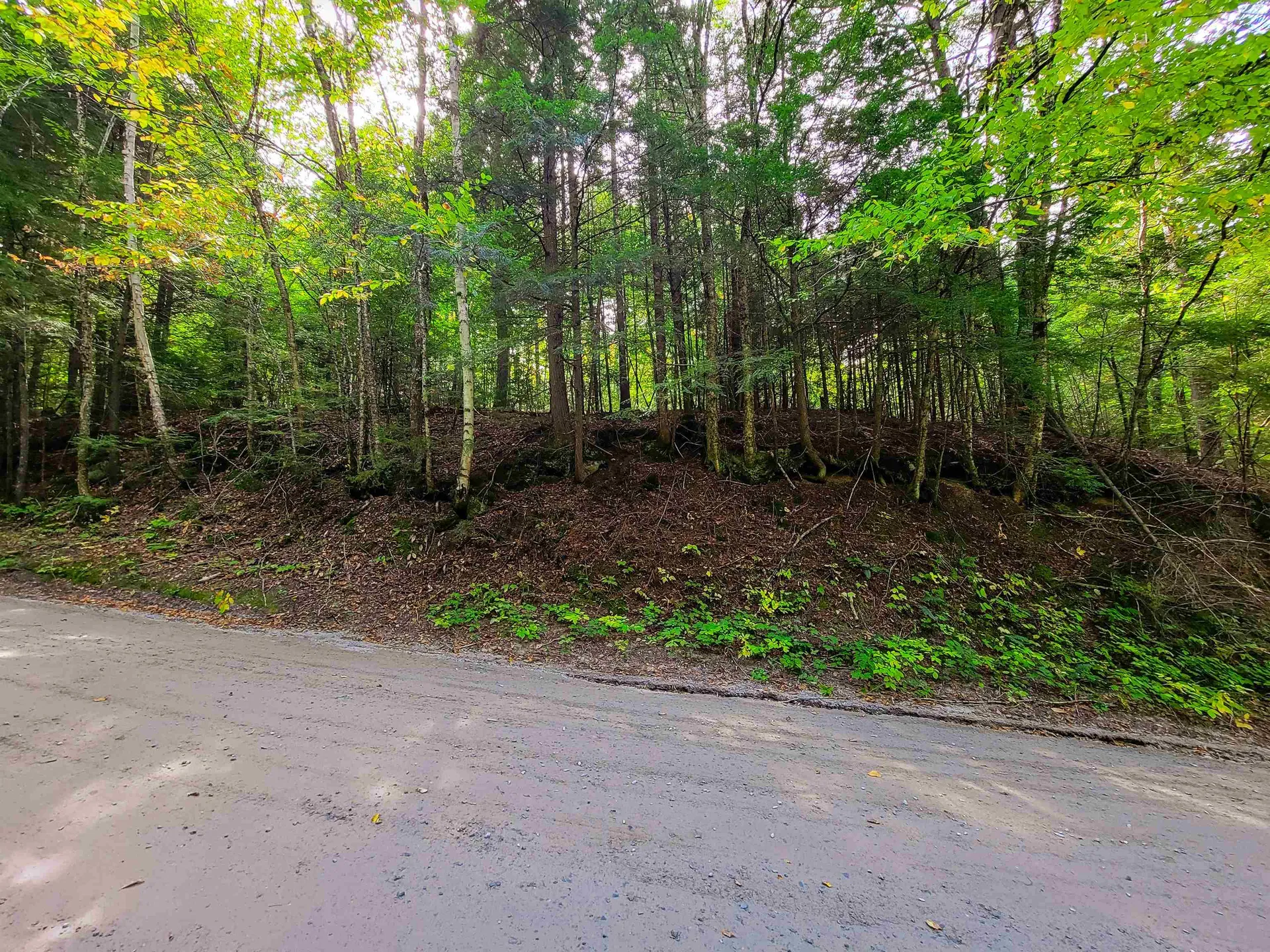 2555 Fuller Road Newbury VT 05051