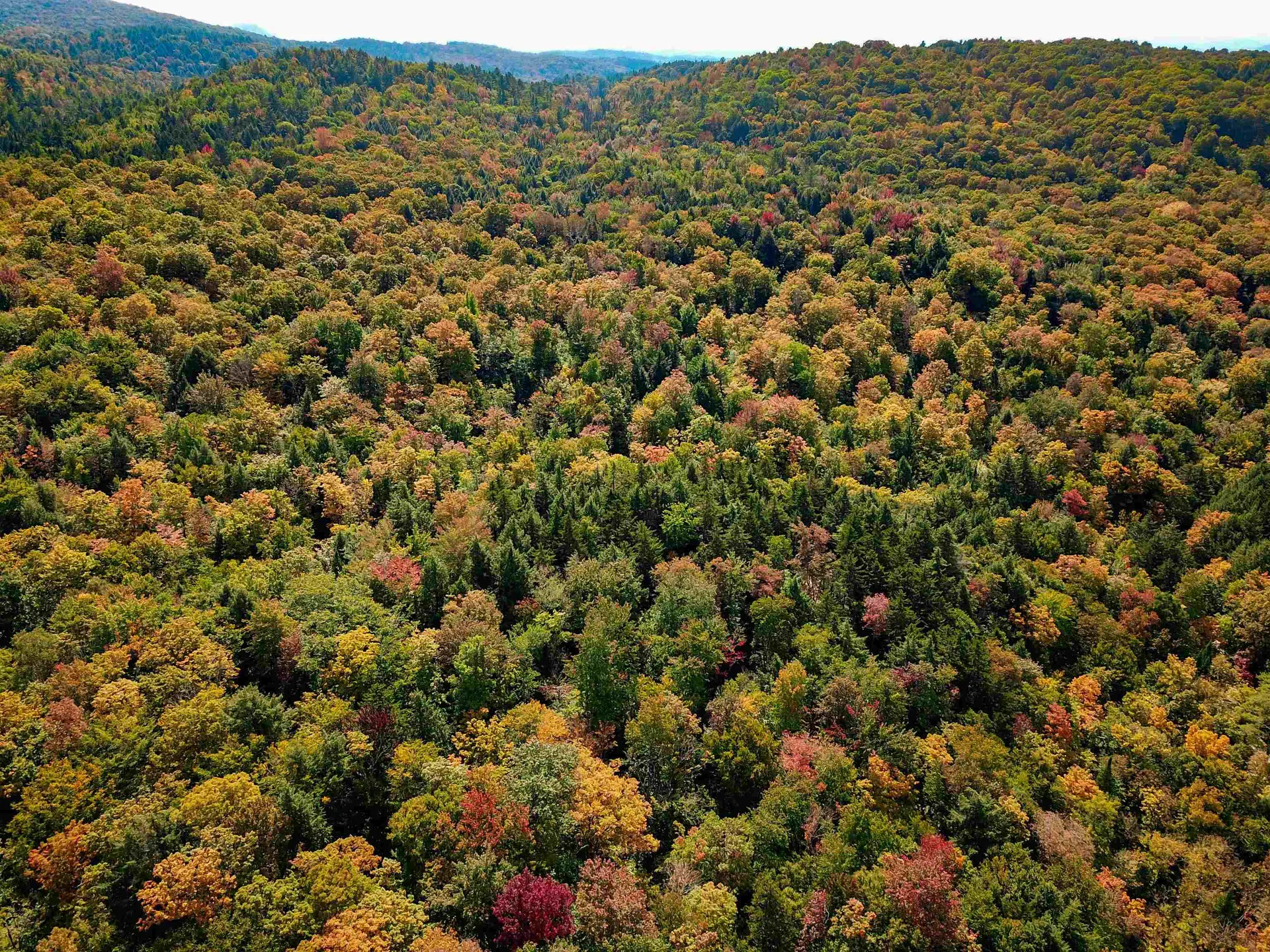 2555 Fuller Road Newbury VT 05051